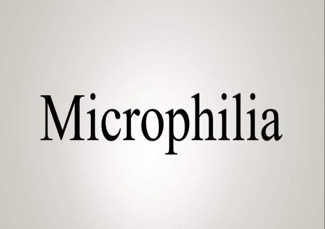 Microphilia
